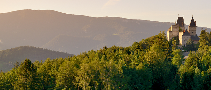 Bild enthält, Tree, Fir, Mountain, Mountain Range, Nature, Outdoors, Peak, Scenery, Conifer, Landscape