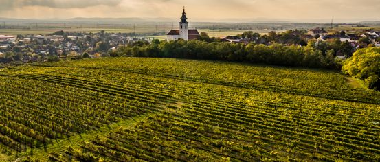Outdoors, Nature, Countryside, Spire, Rural, Farm, Scenery, Field, Aerial View, Lighthouse