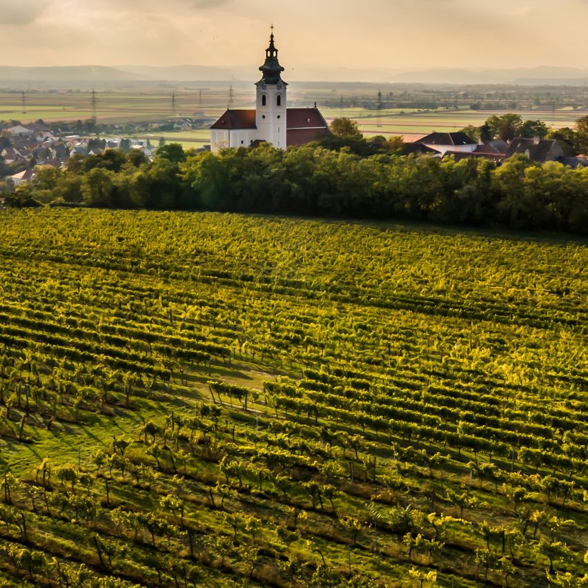 Bild enthält, Outdoors, Nature, Countryside, Spire, Rural, Farm, Scenery, Field, Aerial View, Lighthouse