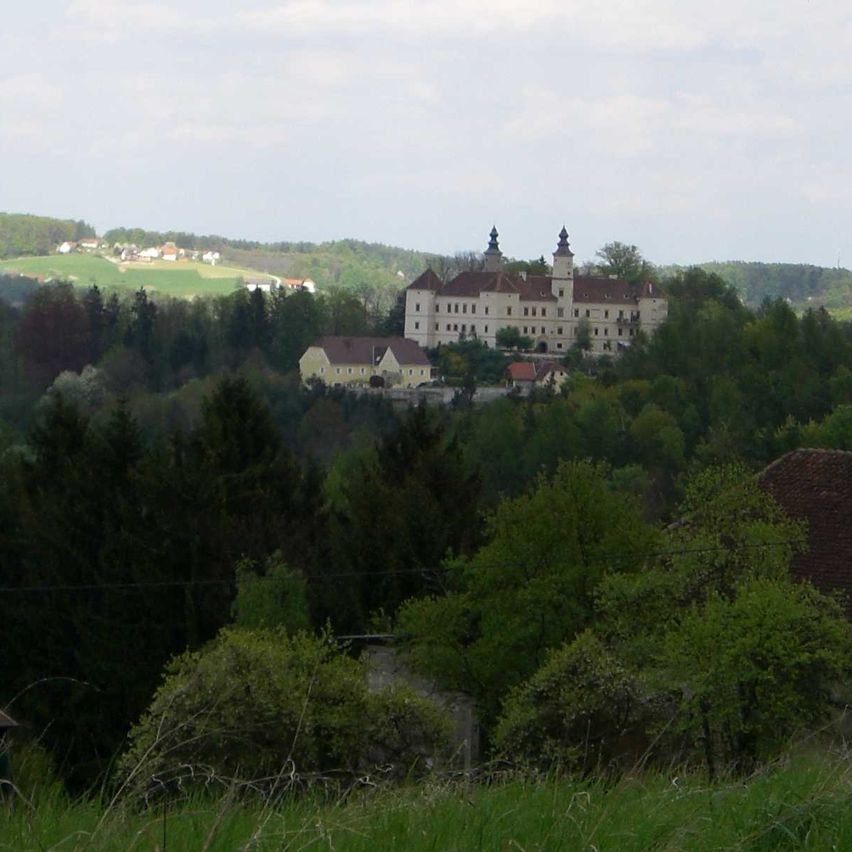 Bild enthält, Tree, Landscape, Vegetation, Grove, Woodland, Grass, Scenery, Wilderness, Grassland, Tree Trunk