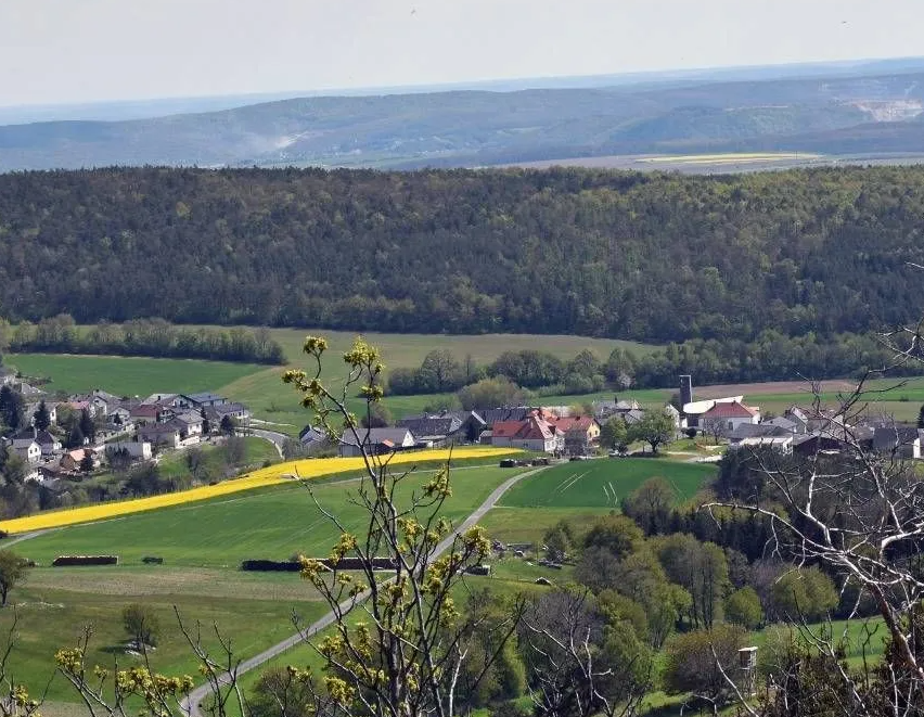 Bild enthält, Outdoors, Nature, Countryside, Rural, Tree, Land, Vegetation, Woodland, Aerial View, Farm