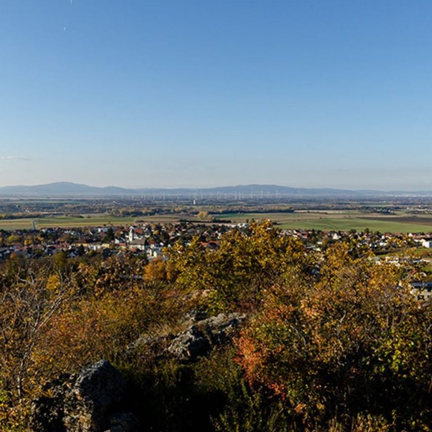 Bild enthält, Horizon, Nature, Outdoors, Sky, Landscape, Vegetation, Scenery, Wilderness, Land, Cityscape