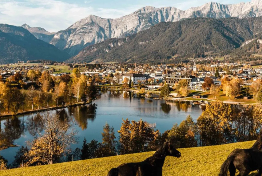 Bild enthält, Nature, Outdoors, Scenery, Landscape, Lake, Water, Horse, Grass, Countryside, Canine