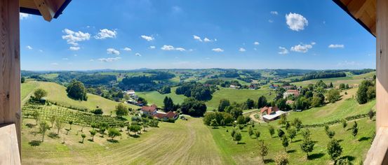 Luftaufnahme einer ländlichen Landschaft mit Häusern, grünen Feldern, Bäumen und einem blauen Himmel mit Wolken. Der Boden ist eine Mischung aus gepflügten Feldern und Grasflächen.
