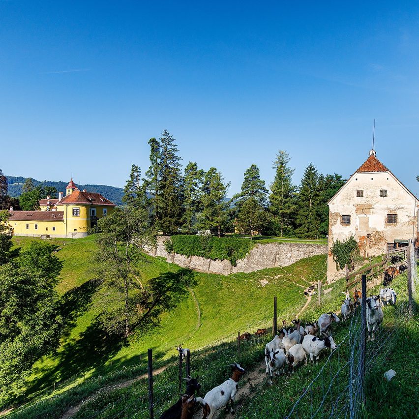 Bild enthält, Countryside, Field, Nature, Outdoors, Pasture, Rural, Building, Grassland, Meadow, Fir
