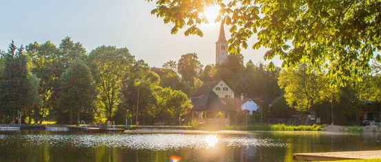 Nature, Outdoors, Scenery, Grass, Park, Landscape, Pond, Vegetation, Panoramic, Grove