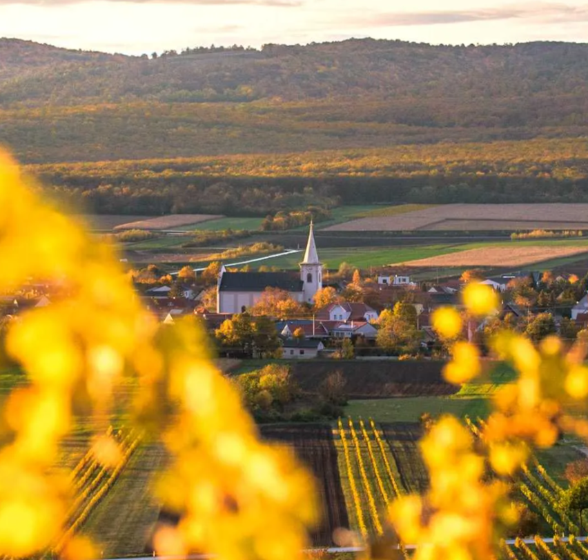 Bild enthält, Nature, Outdoors, Countryside, Rural, Farm, Aerial View, Vineyard
