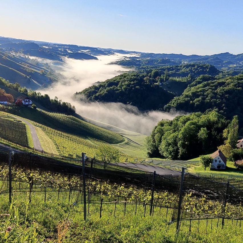 Bild enthält, Nature, Outdoors, Scenery, Landscape, Countryside, Rural, Building, Farm, Vegetation, Grass