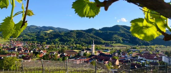 Ein Dorf mit Häusern, umgeben von Bergen und Weinbergen, unter einem klaren blauen Himmel.