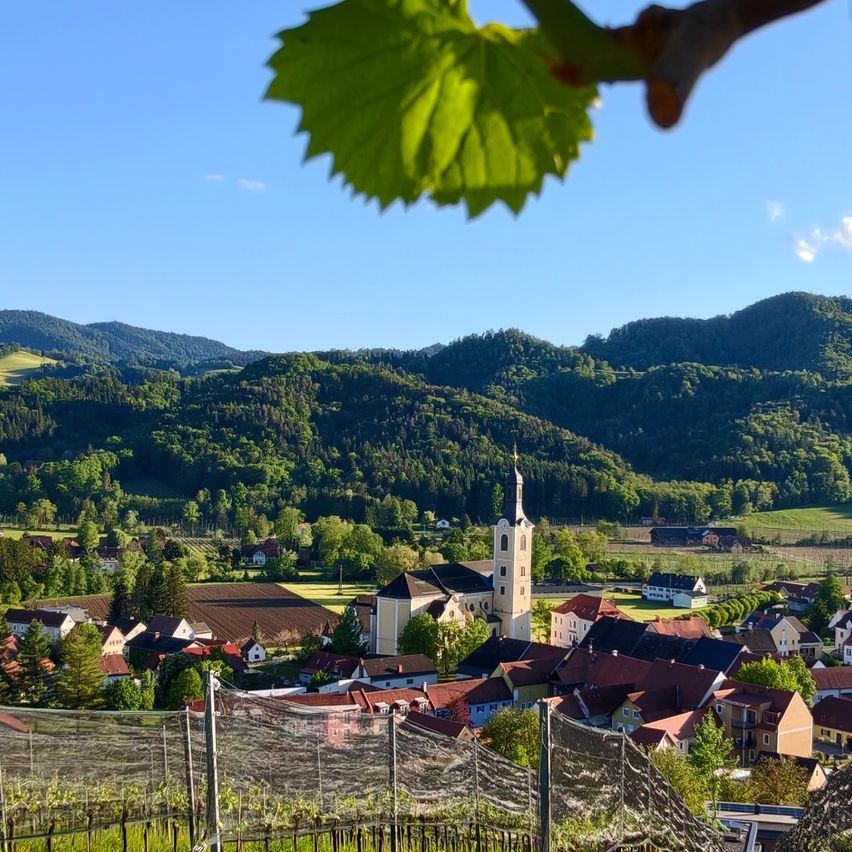 Ein Dorf mit Häusern, umgeben von Bergen und Weinbergen, unter einem klaren blauen Himmel.