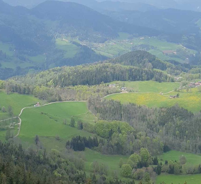 Bild enthält, Nature, Outdoors, Scenery, Landscape, Tree, Vegetation, Wilderness, Panoramic, Woodland, Mountain