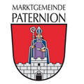 Paternion-Logo