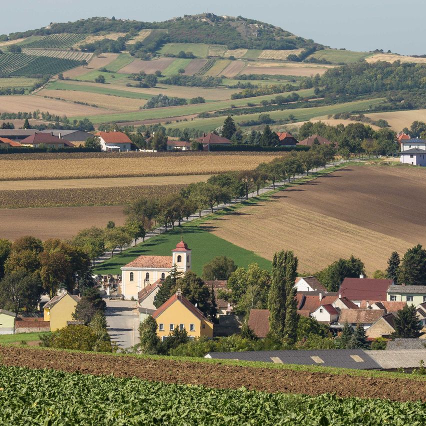 Bild enthält, Nature, Outdoors, Countryside, Rural, Farm