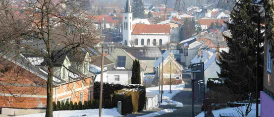 Spire, Neighborhood, Monastery, City, Fir, Tree, Urban, Outdoors, Nature, Suburb