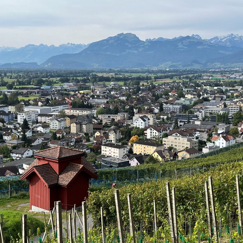 Ein Weinberg mit einem kleinen roten Gebäude steht am Fuße eines Hügels mit Blick auf eine Stadt. Die Stadt ist von einem grünen Tal umgeben, mit Bergen im Hintergrund.