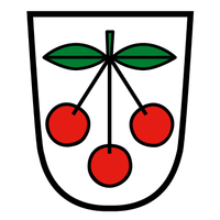 Fraxern-Logo