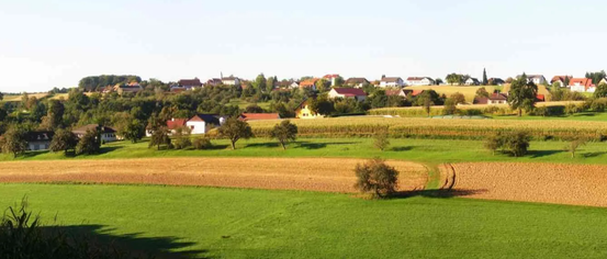 Bildschirmfoto2023-12-12um14.41.04