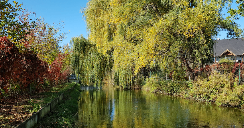 Eine ruhige Flussszene mit Bäumen und Pflanzen an den Seiten. Das Wasser ist ruhig und spiegelt den Himmel und die Bäume. Der Himmel ist klar und blau.