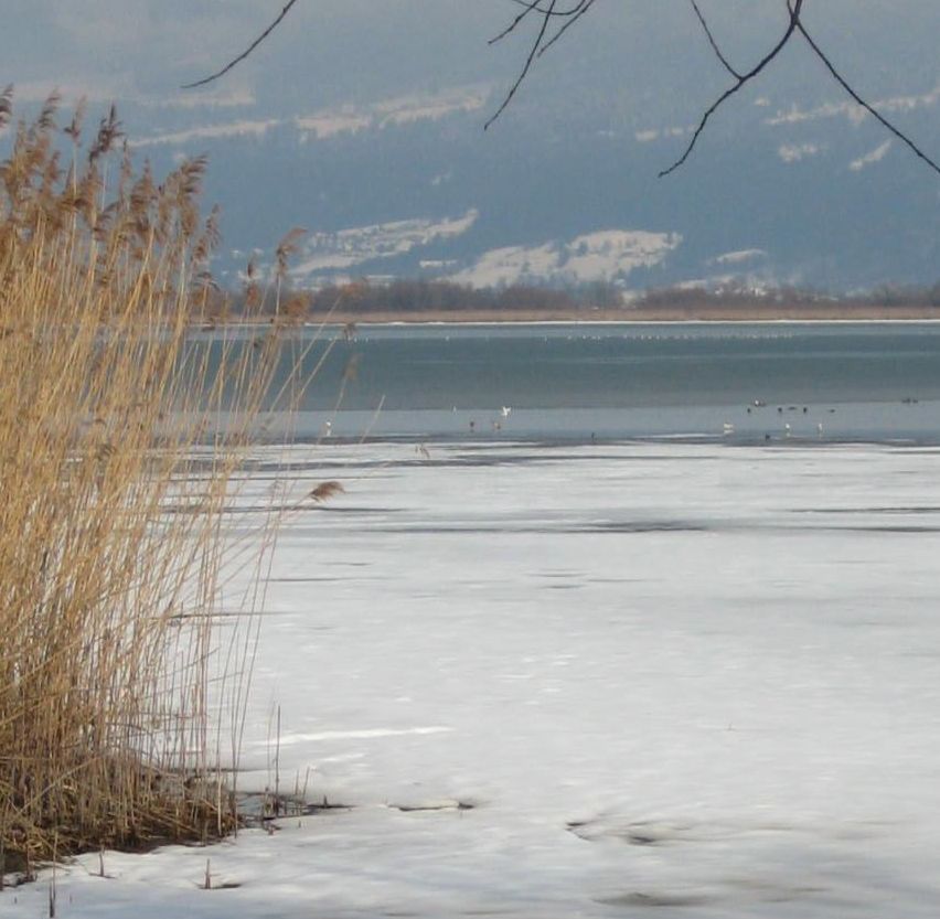 Ein zugefrorener See mit Schnee und Schilf am Ufer, Berge im Hintergrund.