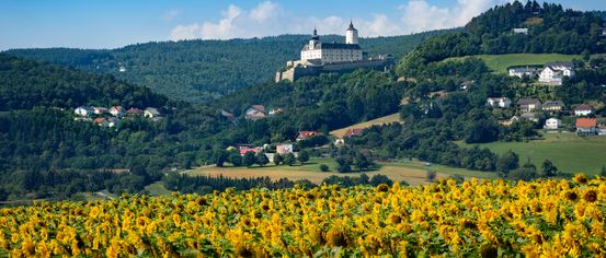 Eine Burg steht auf einem Hügel mit einem Feld Sonnenblumen im Vordergrund, unter einem klaren blauen Himmel.