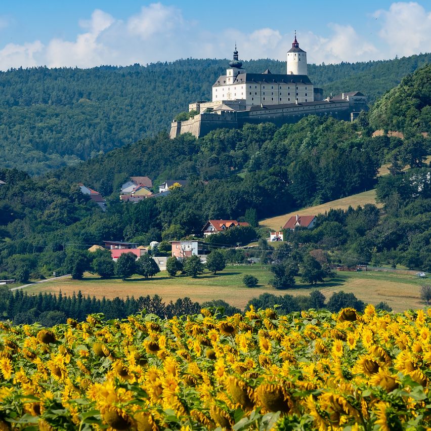 Eine Burg steht auf einem Hügel mit einem Feld Sonnenblumen im Vordergrund, unter einem klaren blauen Himmel.