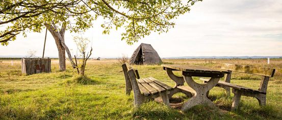 Bench, Furniture, Nature, Outdoors, Scenery, Grass