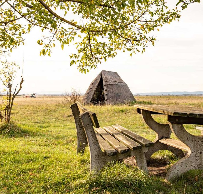 Bild enthält, Bench, Furniture, Nature, Outdoors, Scenery, Grass