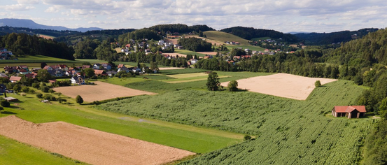 Outdoors, Nature, Countryside, Rural, Farm, Architecture, Building, Aerial View