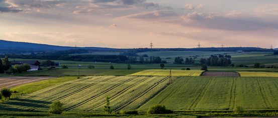 Nature, Outdoors, Countryside, Rural, Scenery, Farm, Sky, Horizon, Aerial View, Field