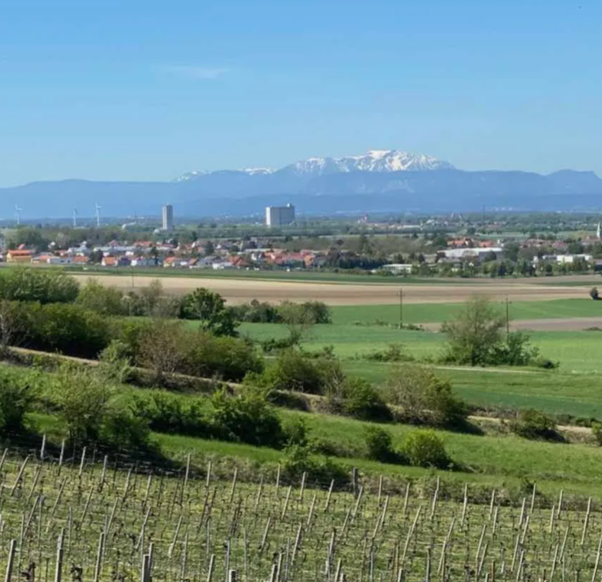 Bild enthält, Nature, Outdoors, Countryside, Rural, Farm, Aerial View, Plant