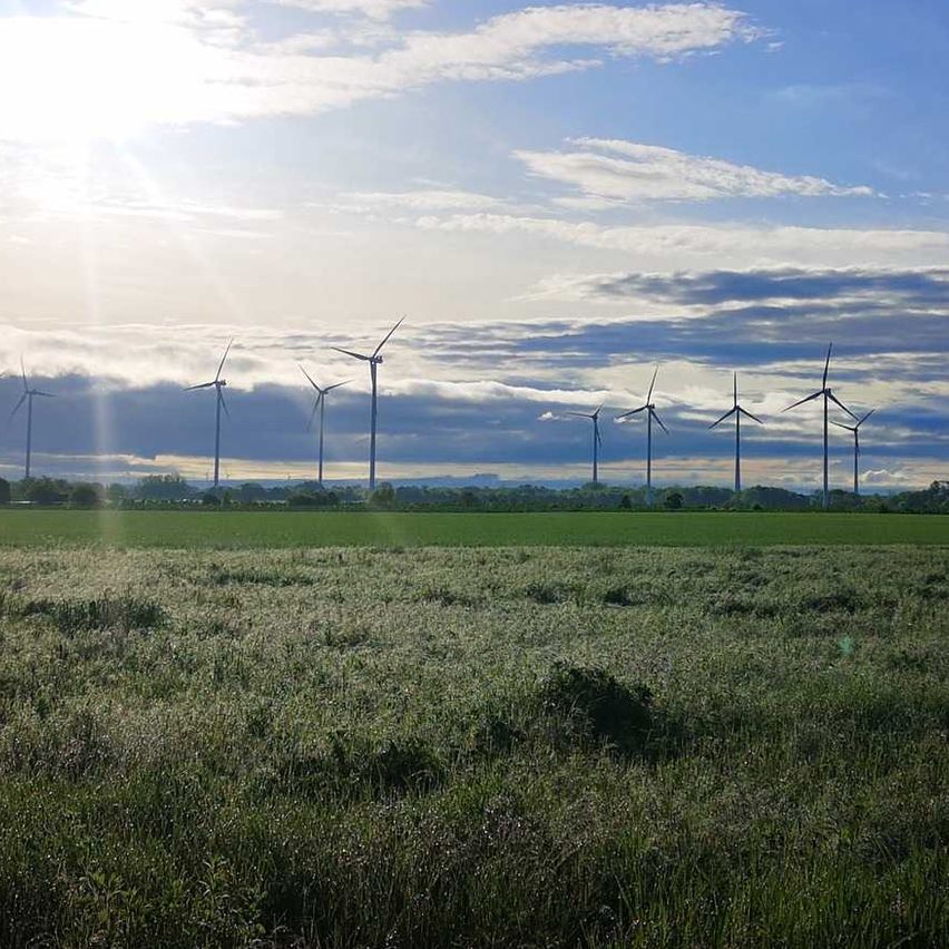 Bild enthält, Nature, Outdoors, Sky, Grass, Field, Grassland, Horizon, Land, Landscape, Scenery