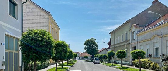 Suburb, Building, Housing, Car, Vehicle, House, Neighborhood, Cityscape, Urban