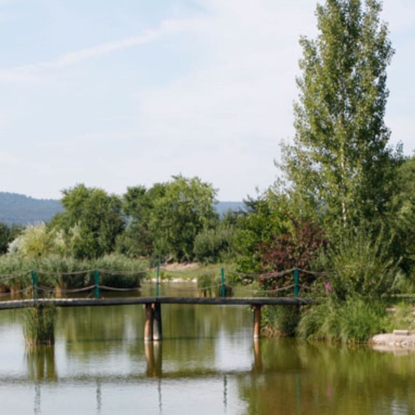 Bild enthält, Nature, Outdoors, Scenery, Pond, Water, Plant, Tree, Lakefront, Vegetation, Lake