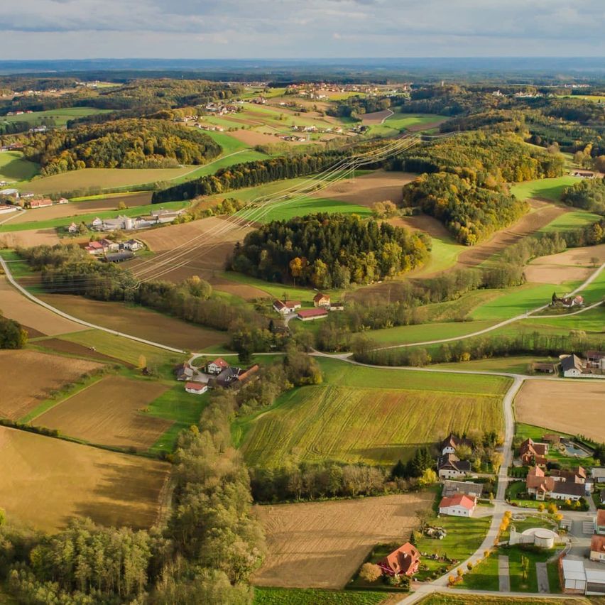 Eine Luftaufnahme einer ländlichen Landschaft mit mehreren Feldern, Häusern und einer kurvenreichen Straße. Grüne, braune und gelbe Farbtöne dominieren die Szenerie. Bäume und Büsche säumen die Landschaft.