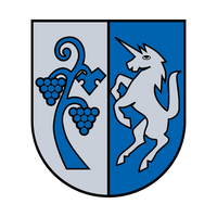 Raiding-Logo