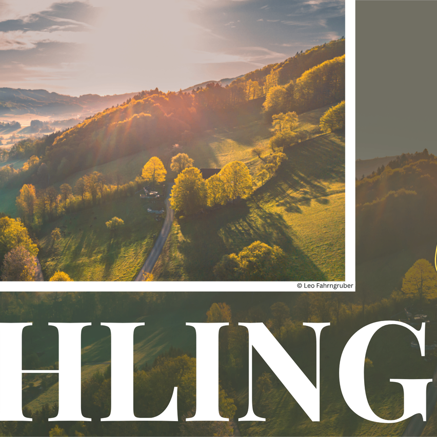 Eine friedliche Landschaft mit grünen Hügeln und Bäumen, getaucht im sanften Licht eines Sonnenaufgangs. Ein schmaler Weg schlängelt sich durch das Tal. Der Himmel ist teilweise bewölkt.