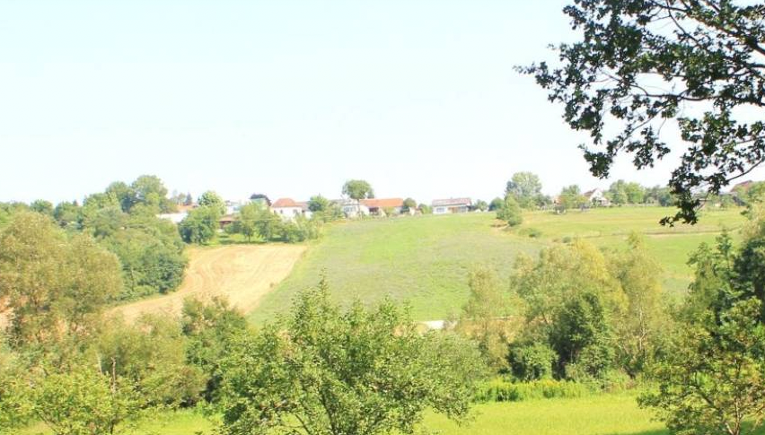 Bild enthält, Grass, Nature, Outdoors, Park, Scenery, Landscape, Field, Pasture, Panoramic, Vegetation