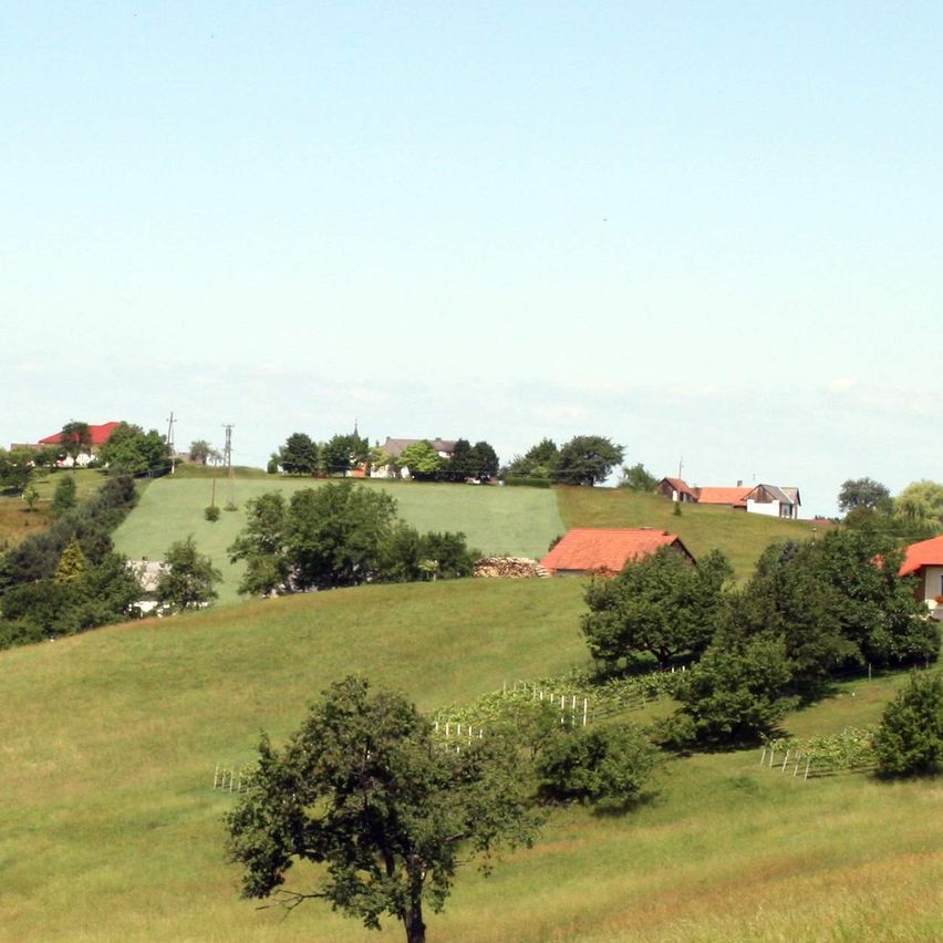 Eine ländliche Landschaft mit mehreren Häusern, grünen Feldern und Bäumen unter einem klaren blauen Himmel. Die Häuser haben rote Dächer.
