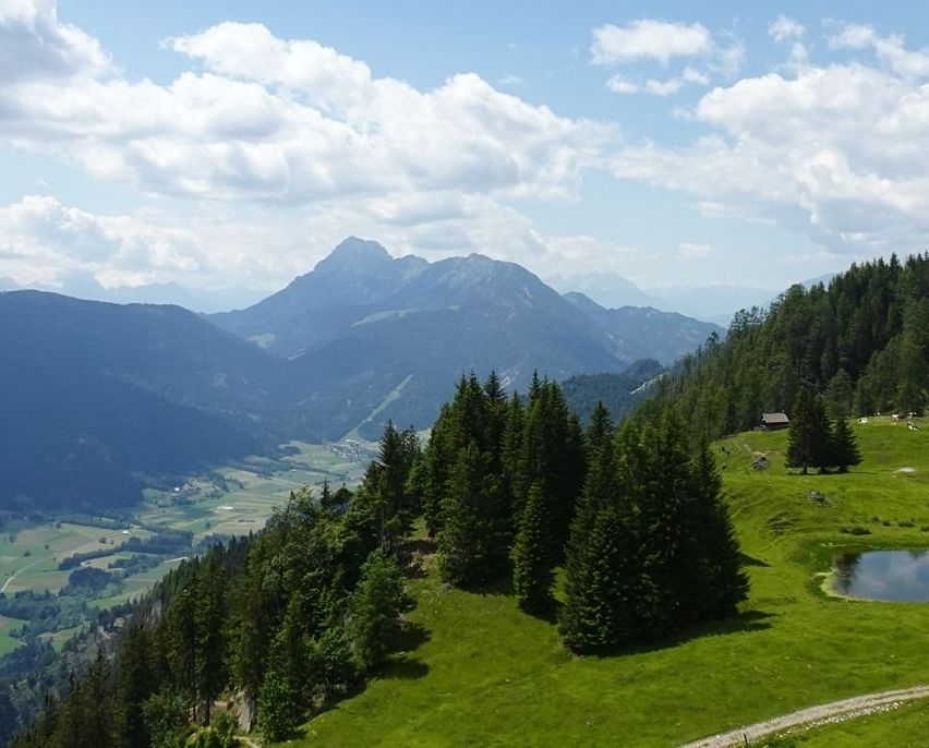 Bild enthält, Green, Wilderness, Landscape, Tree, Grass, Scenery, Cloud, Sky, Vegetation, Woodland