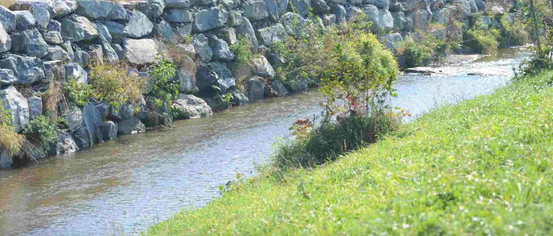 Wall, Nature, Outdoors, Pond, Water, Ditch, Canal, Path, Grass, Rock