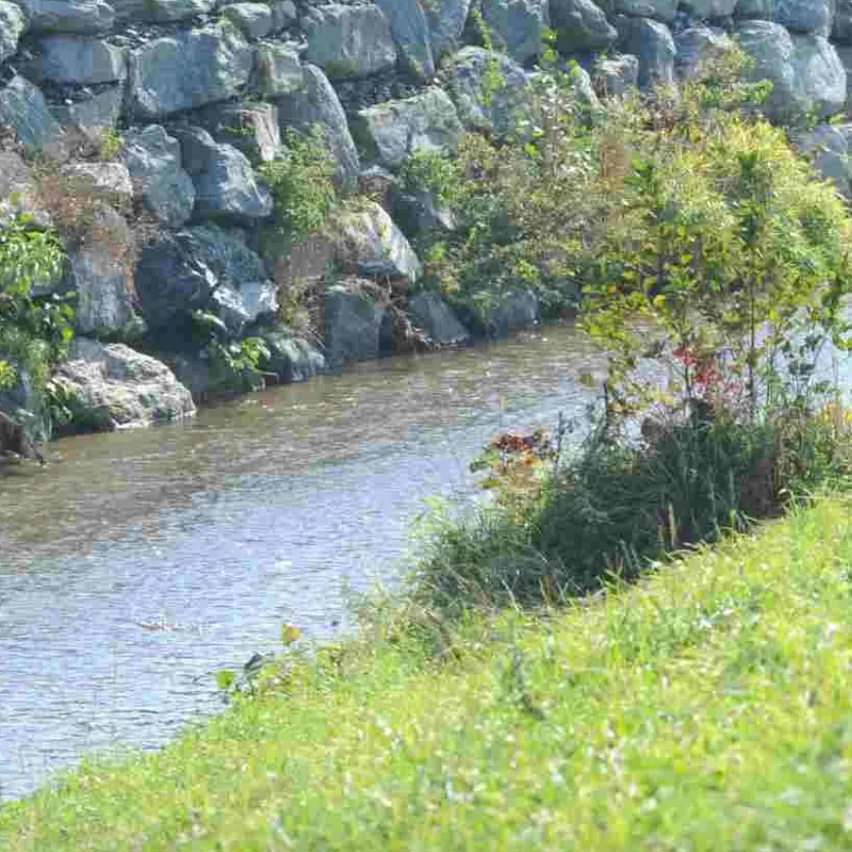 Image contains, Wall, Nature, Outdoors, Pond, Water, Ditch, Canal, Path, Grass, Rock
