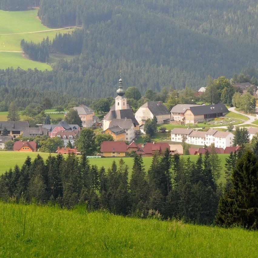 Ein ländliches Dorf, umgeben von üppigen grünen Feldern und dichten Wäldern. Die Häuser sind in verschiedenen Farben gestrichen, mit einem Kirchturm in der Mitte.