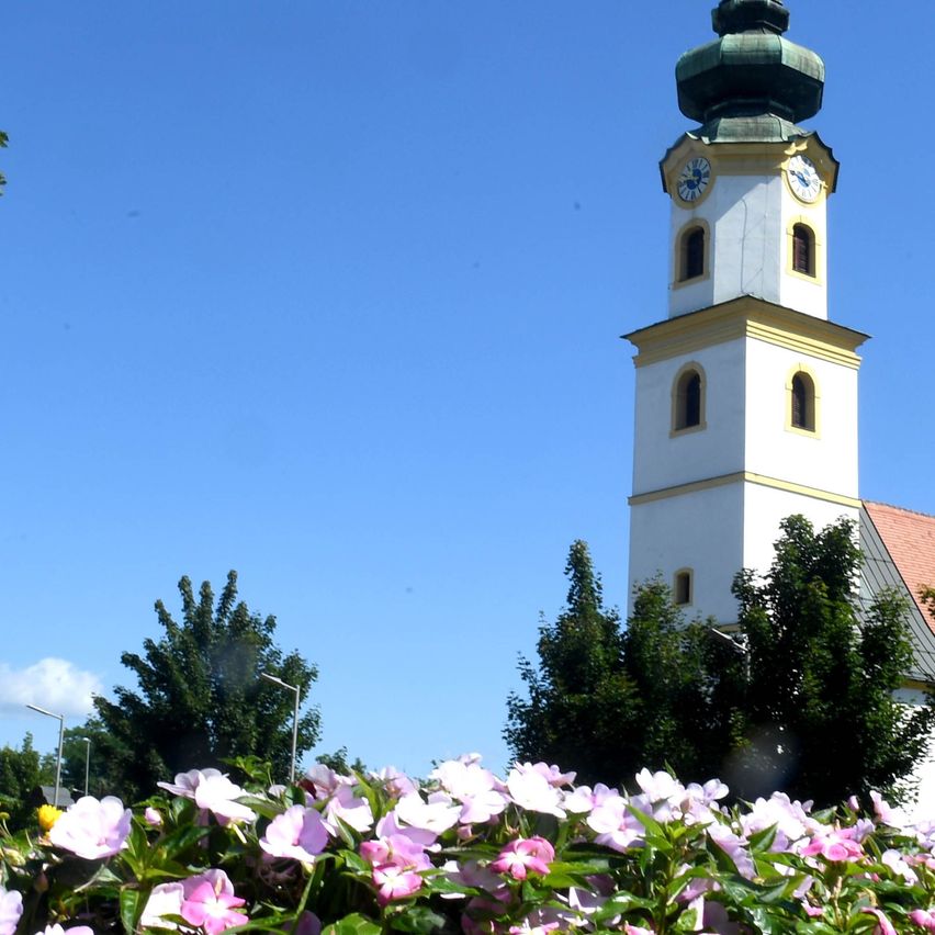 Bild enthält, Flower, Geranium, Spire, Tower, Clock Tower, Garden, Nature, Outdoors, Tree, Fir
