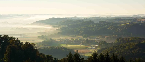 Land, Nature, Outdoors, Tree, Vegetation, Woodland, Landscape, Scenery, Aerial View, Countryside