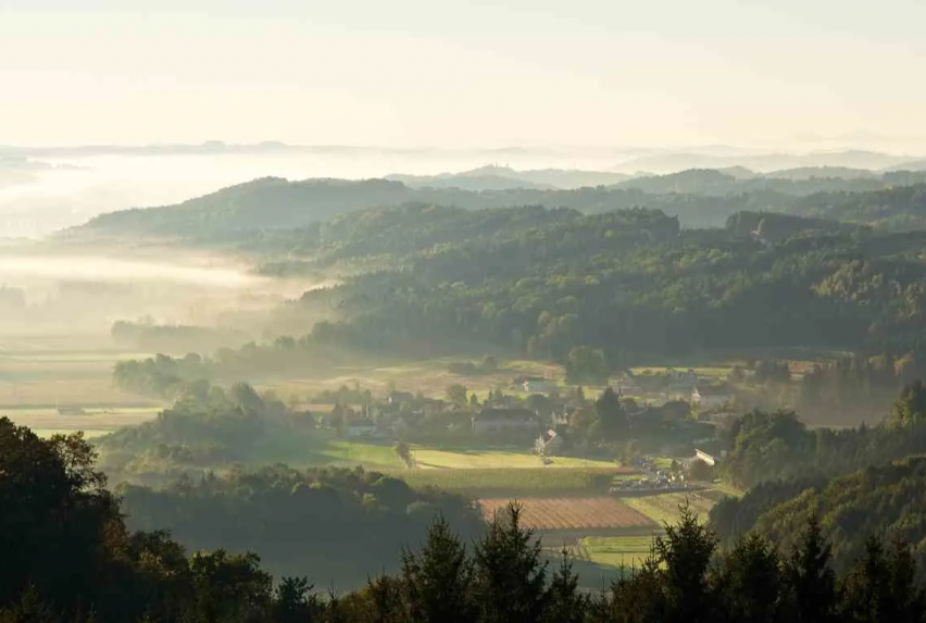 Bild enthält, Land, Nature, Outdoors, Tree, Vegetation, Woodland, Landscape, Scenery, Aerial View, Countryside