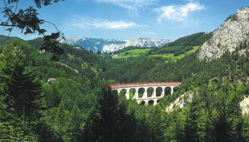 Bild enthält, Vegetation, Scenery, Wilderness, Tree, Land, Woodland, Landscape, Grove, Jungle, Rainforest