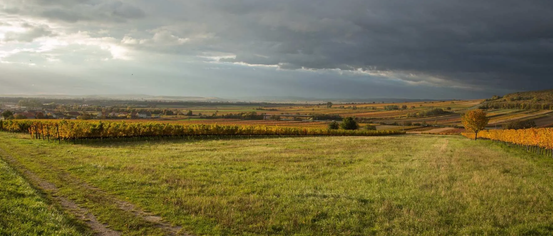 Landscape, Nature, Outdoors, Scenery, Land, Horizon, Sky, Panoramic, Ground, Pasture