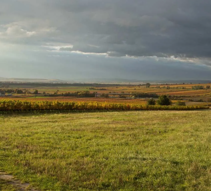 Bild enthält, Landscape, Nature, Outdoors, Scenery, Land, Horizon, Sky, Panoramic, Ground, Pasture
