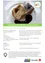 pdf-preview-image-67ece5b0d772c7c14b7d06ae
