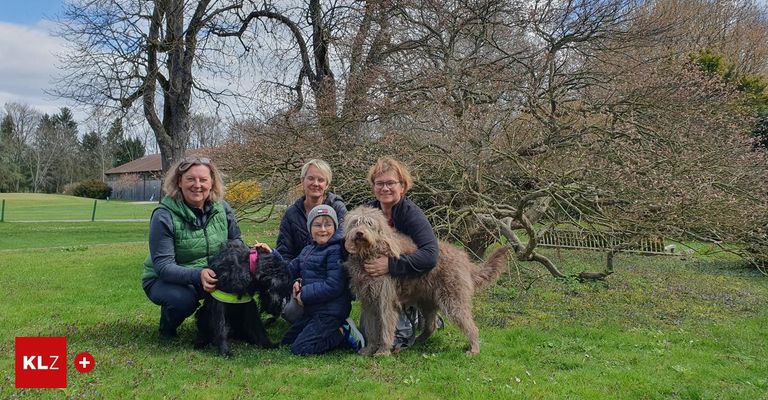 Vier Personen, zwei Hunde und ein Kind posieren an einem sonnigen Tag in einem Park für ein Foto.